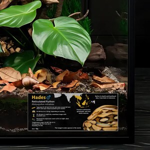 Pode incluir: Um close-up de uma pit&atilde;o reticulada, tamb&eacute;m conhecida como Malayopython reticulatus, em um terr&aacute;rio. A cobra &eacute; marrom claro com marcas marrom escuro e preto. O terr&aacute;rio &eacute; decorado com plantas verdes e folhas marrons. O cart&atilde;o de informa&ccedil;&otilde;es inclui o nome da cobra, seu nome cient&iacute;fico, seu tamanho, seu habitat e outros fatos. O texto no cart&atilde;o diz "Hades, Pit&atilde;o reticulada, Malayopython reticulatus, Tipicamente 10-20 p&eacute;s - mas algumas excedem 20 p&eacute;s: 10-250 libras / 14,5-1 kg, dependendo da localidade, cuidados excelentes, Encontrada em florestas tropicais, pastagens e perto de fontes de &aacute;gua, Noturna e crepuscular, &agrave;s vezes mais longa com uma faixa de temperatura de ponto de aquecimento: 70-82&deg;F / 23-28&deg;C, Umidade 50-80%, A esp&eacute;cie de cobra mais longa do mundo, Nativa do sul e sudeste da &Aacute;sia, da &Iacute;ndia &agrave; Indon&eacute;sia."