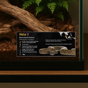 May include: A rectangular black informational sign for a Reticulated Python named Hela, featuring white text, icons, a map of Southeast Asia, and a photograph of a patterned brown snake, attached to the glass front of a terrarium with soil and wood.