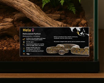 Personalized Reticulated Python Enclosure Label: Laminated Vivarium Information Decor