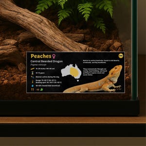 Etiqueta personalizada para el recinto de tu dragón barbudo: decoración laminada con información para el vivero
