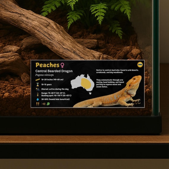 Personalized Bearded Dragon Enclosure Label: Laminated Vivarium Information Decor