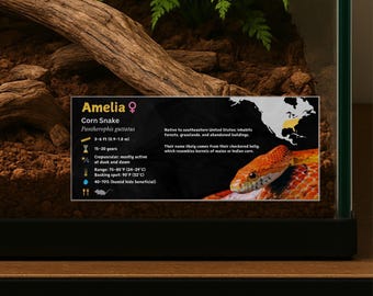 Personalized Corn Snake Enclosure Label: Laminated Vivarium Information Decor