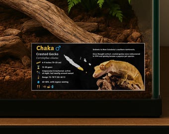 Etiqueta personalizada para cercado de lagartixa-de-crista: decoração com informações para vivário laminado