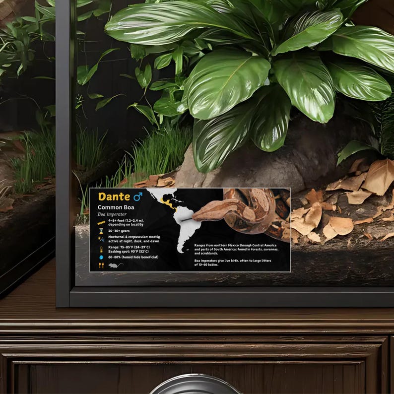 Personalized Boa Imperator Enclosure Label: Laminated Vivarium ...