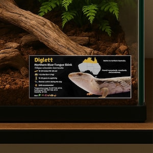 Étiquette personnalisée sur l'espèce de scinque bleu du Nord, étiquette d'information plastifiée avec nom personnalisé sur le lézard, Enclos pour reptiles, décor de vivarium