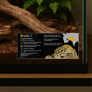 Personalisiertes Leopardgecko-Gehäuseetikett: Laminiertes Vivarium-Informationsdekor