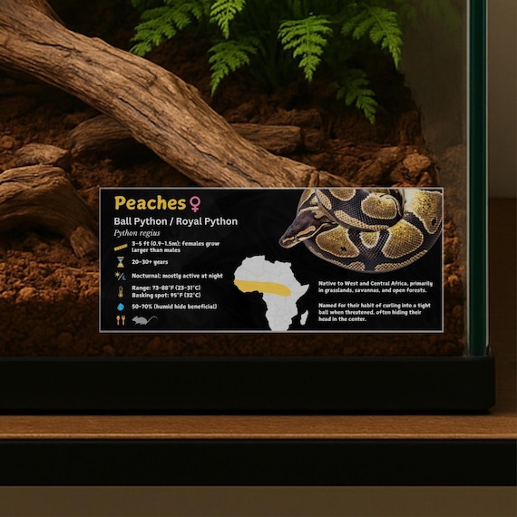 Personalized Ball Python Enclosure Label: Laminated Vivarium Information Decor