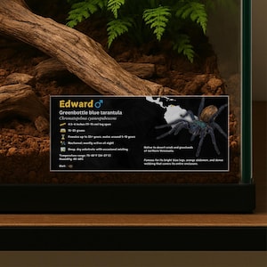 Personalized Greenbottle Blue Tarantula Enclosure Label: Laminated Vivarium Information Decor