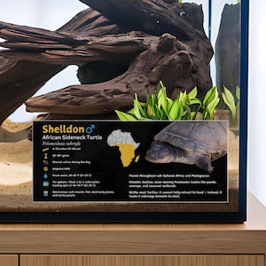Personalized African Sideneck Turtle Enclosure Label: Laminated Aquarium Information Decor