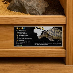 Personalized Greek Tortoise Enclosure Label: Laminated Vivarium Information Decor