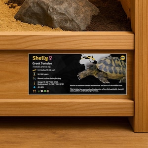 May include: A Greek tortoise named Shelly is displayed in a wooden enclosure. The tortoise is brown and yellow with a patterned shell. A black and white information card provides details about the tortoise, including its size (5-8 inches), lifespan, and habitat.