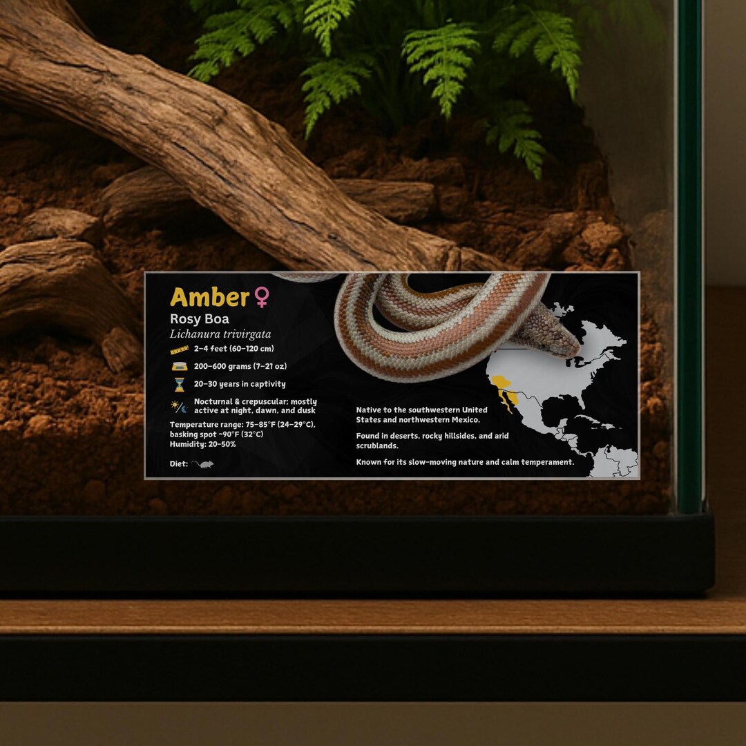 Personalized Rosy Boa Enclosure Label: Laminated Vivarium Information ...