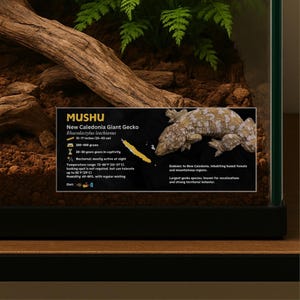 Personalized Leachianus Gecko Enclosure Label: Laminated Vivarium Information Decor