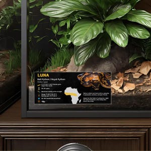 Etiqueta personalizada para recinto de pitón bola: decoración laminada con información para vivero Gold / No Icon