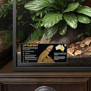 Etiqueta personalizada para terrario de dragón barbudo: Decoración laminada con información para terrario. Gold / No Icon