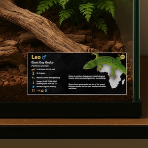 May include: A rectangular informational sign for a Giant Day Gecko, Phelsuma grandis, featuring a green gecko illustration, a map of Madagascar, and text detailing care requirements including a size of 23-30 cm and a temperature range of 24-32°C.
