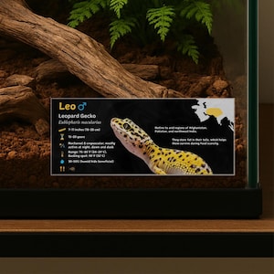 Etiqueta personalizada para terrario de gecko leopardo: Decoración laminada con información para terrario.