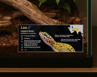 Etiqueta personalizada para terrário de gecko leopardo: Decoração laminada com informações para vivário.