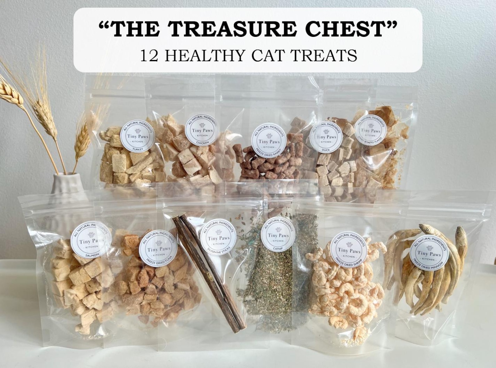 The Cat Treat Box - 12 guloseimas saudáveis ​​para gatos