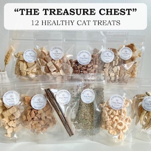 The Treasure Chest - Cat Treat Box | 12 Healthy Cat Treats | Holiday Cat Gift | Gift For Cat Lovers | Gift For Cat Owners
