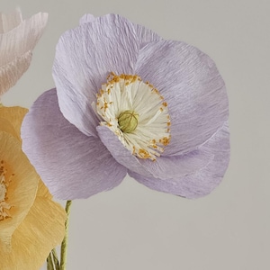 Paper poppies