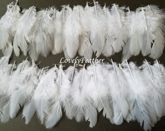 BULK 50pcs Natural Tan Bronze Rooster Coque Feathers 12-20cm DIY Craft Millinery
