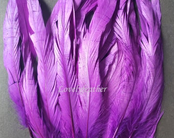 30 Pcs Couleur violette coque plumes de queue pour l’artisanat