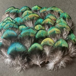 100 pezzi di bellissime piume di pavone verde oro con piumaggio naturale