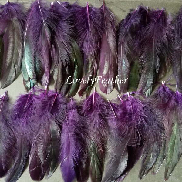 100 Pcs dark purple irridescent coque feathers