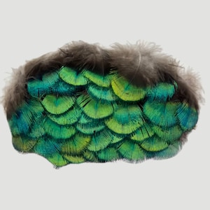 100 pezzi bellissime piume di pavone verde oro piumaggio colore naturale