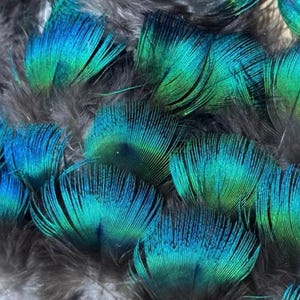 100 pezzi di bellissime piume di pavone blu puro, colore naturale