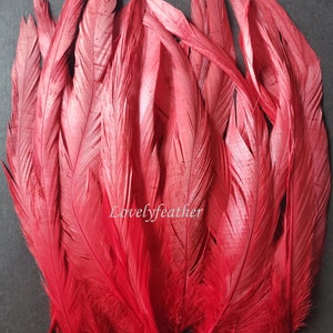 30 Pcs Red color coque tail feathers for craft