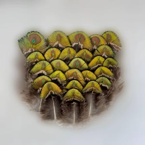 100 pezzi di bellissime piume di pavone di grandi dimensioni, piumaggio dorato, colore naturale