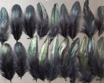 100 Pcs black irridescent coque feathers size 6 to 7 inches