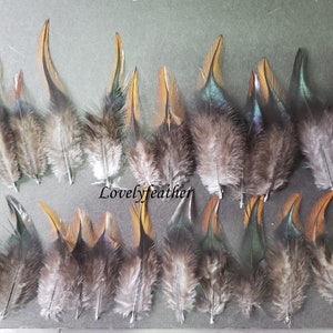200 Pcs white hackle feathers 200 Pcs white hackle feathers
