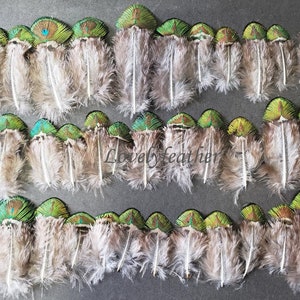 50 pezzi bellissime piume di pavone piumaggio dorato colore naturale