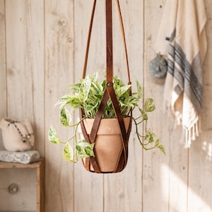May include: A hanging plant holder made of brown leather straps cradling a terracotta pot. Inside the pot is a variegated pothos plant with green and white heart-shaped leaves. The leather straps are secured with a metal rivet at the top.