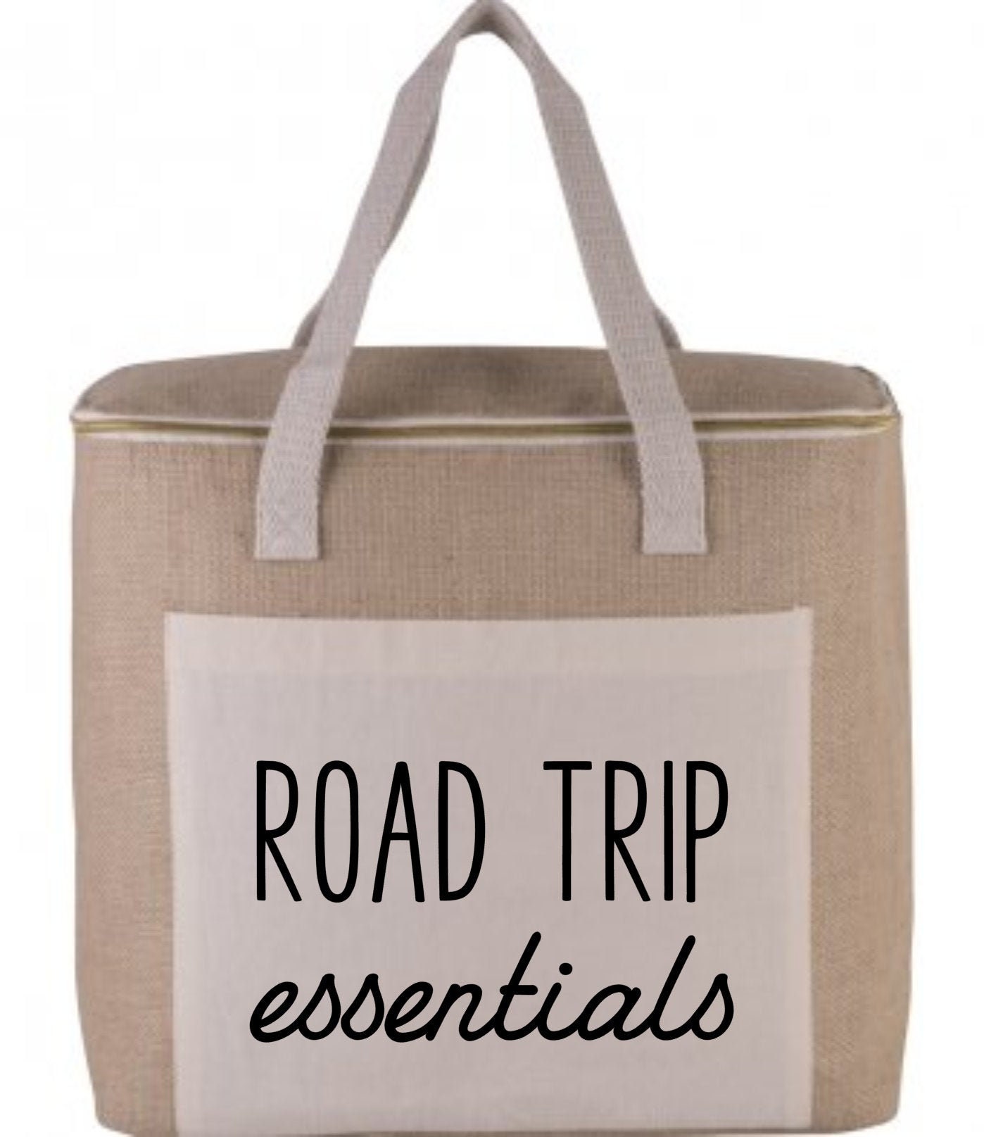 insulated family picnic bag
