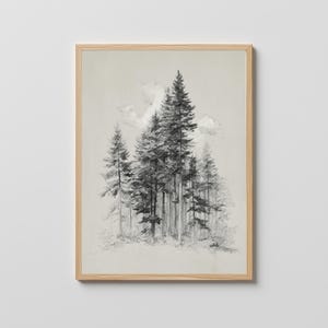May include: A framed black and white print of a forest scene. The artwork features tall evergreen trees with detailed shading, creating a sense of depth. The print is encased in a light-colored wooden frame, suitable for home decor.