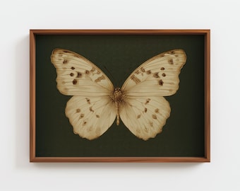 Vintage Moth Illustration Print, Antique Insect Wall Art, Dark Green Botanical Poster, Goblincore and Dark Academia Decor, Digital Download