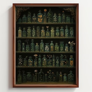 Puede incluir: Impresión enmarcada que presenta una estantería de madera oscura llena de botellas de vidrio. Cada botella contiene un espécimen de planta diferente. Las botellas están dispuestas en múltiples estantes, creando una exhibición botánica.