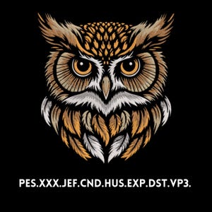 Könnte beinhalten: Detaillierte Illustration einer Eule mit braunen, orangefarbenen und weißen Federn vor schwarzem Hintergrund. Die Eule hat große, runde, orangefarbene Augen und einen fokussierten Blick. Das Bild enthält den Text: PES.XXX.JEF.CND.HUS.EXP.DST.VP3.