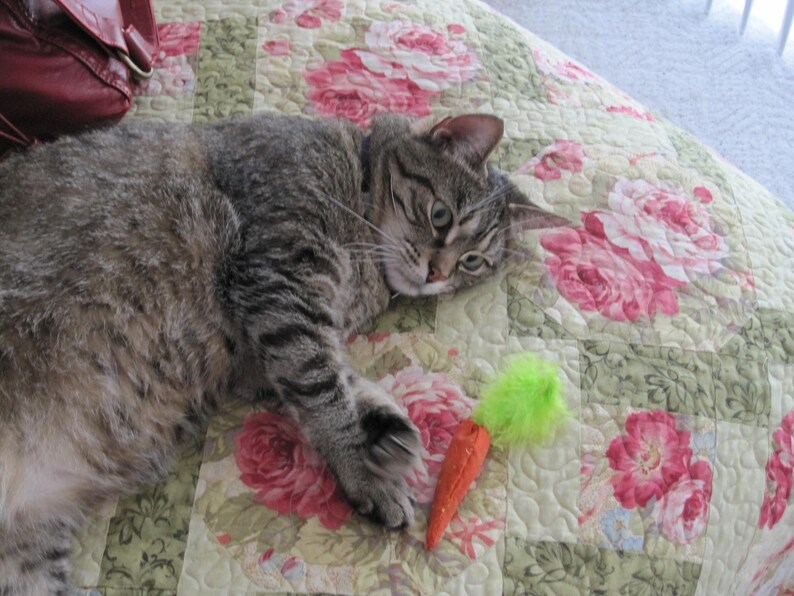Catnip Carrot Organic Catnip Filled Cat Toy With Feather Top Etsy