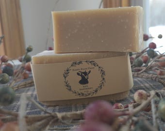 Ripe Raspberry Goat Milk Soap Bar