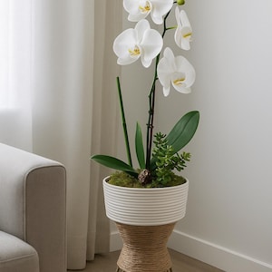 May include: A white orchid plant in a decorative planter. The planter has a white, ribbed top and a woven jute base, supported by a metal frame. The orchid has several white blooms and green leaves, with a small succulent plant at the base.