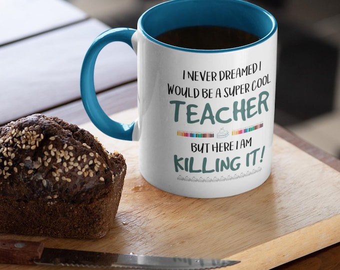 Funny Teacher Mug, Teacher Gift