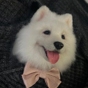Adorno personalizado de perro Samoyedo, retrato de mascota en fieltro agujado, regalo conmemorativo para perros