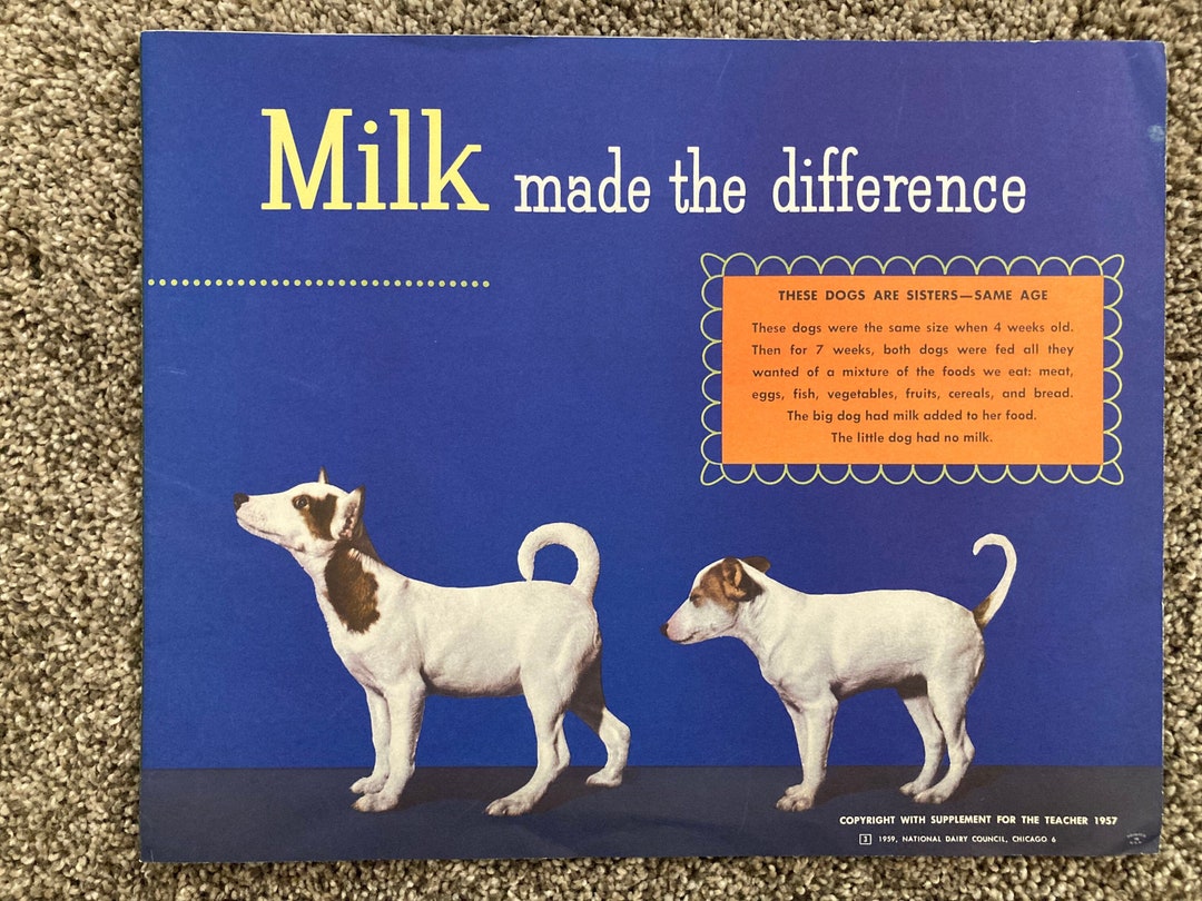 MILK AD 1950's Beautiful Print Adnational Dairy Etsy