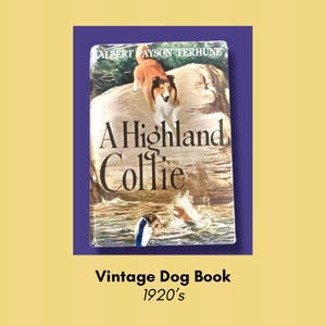 May include: A vintage book cover with the title "A Highland Collie" and the author's name, Albert Payson Terhune. The cover features a collie dog in a water scene. The text "Vintage Dog Book 1920's" is at the bottom.