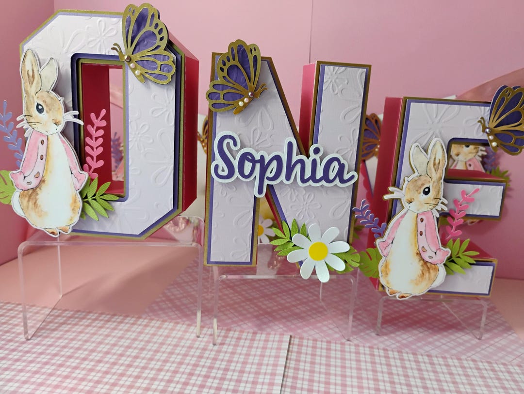 Peter Rabbit Decorations/ Peter Rabbit 1st Birthday Party / Peter ...